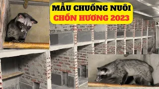 Những Mẫu Chuồng Nuôi Chồn Hương,Cầy Hương Hiệu Quả Nhất 2023  – Trại Giống Đông Sơn