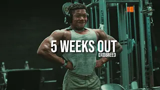 COMPLETE BACK WORKOUT EXPLAINED// 5 WEEKS OUT