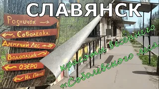 СЛАВЯНСК - Наш Край (14 апреля 2024)