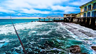 🔴ОНА СЕБЯ ПРОЯВИЛА. Морская Рыбалка в Крыму. Поиски Форели.