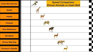 Speed Comparison: Usain Bolt Vs African Animals