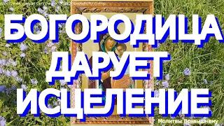 Дарует исцеление от всех болезней.  Молитва пред чудотворной Святогорской иконой Божией Матери