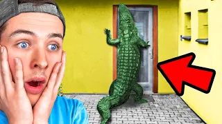 Top 20 CRAZIEST ANIMAL INVASIONS