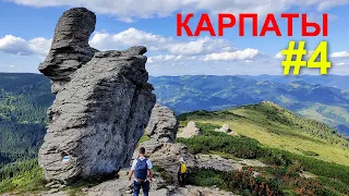 поездка в Карпаты, #4. Поход на гору Поп-Иван Черногорский