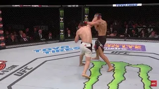 Max Holloway and Ricardo lamas slugfest