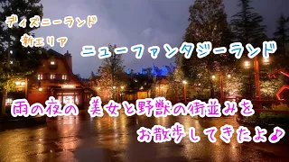 #1785 ディズニーランド新エリア（雨 x 夜 x ニューファンタジーランド）　雨の日の夜のお散歩だよ♪