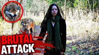 Taylor Mitchell RIPPED into Pieces by a Pack of Coyotes!