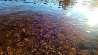 Relaxing River Sounds - Peaceful Flowing Stream Take A Deep Breath