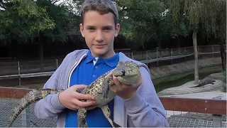 EPIC CROCODILE PARK IN MALAGA (Spain) | Vlog!