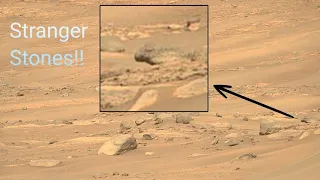 Mars Latest New Video || Mars Perseverance Rover Last Images of SOL 419 || Mars Updates 2024