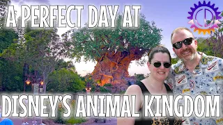 How to Have the Perfect Day in Disney's Animal Kingdom