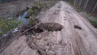 пенсионная охота в Архангельской области на зайца с р.г. Радой. 20.10.23 г.