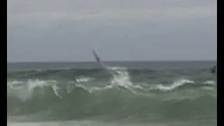 RC Surfing 05 01 11