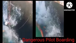 Dangerous pilot boarding on ship #disembark #embarking #merchantnavy #shipping #safety #shorts