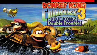 Donkey Kong Country 3 OST 06 - Stilt Village