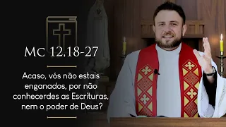 Homilia Diária | Quarta-feira - São Bonifácio, bispo e mártir (Mc 12,18-27)