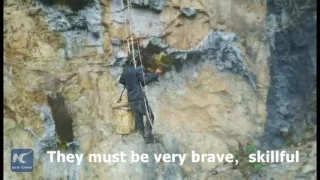 Death-defying brothers collect honey from cliffs