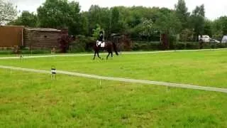 Z ruiter Amy Cornelissen eerste in Rijsbergen Met Blokland's hoeve Ricardo