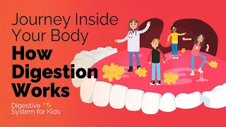 Journey inside your body to see how digestion works | Digestive System for Kids | badgut.org