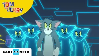 Tom & Jerry auf wilder Jagd | Virtueller Kampf | Cartoonito