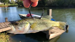 I DID NOT Think I'd be able to Land This POND MONSTER!!!