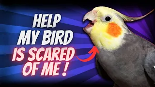 Unlock the Secret to Taming Fearful Birds: 10 Expert Tips