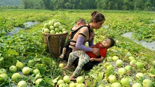 Single girl Cooks noodles for her children to eat | Harvest melons and sell them at the market