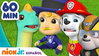 PAW Patrol | ¡1 hora de los rescates de bebés más adorables de la Patrulla canina! | Nick Jr.