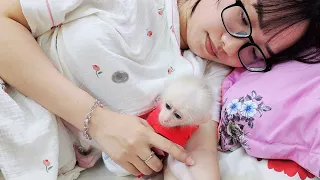 Mom Lulls Baby Monkey SUGAR to Sleep