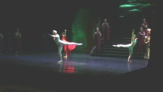 La Bayadere (3)