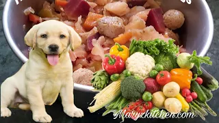 Homemade vegetarian food for pet dog /Nutritious veg lab food recipe/How  make homemade veg pup food