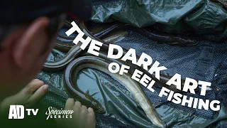 Phil Spinks Specimen Series - Gravel Pit Eel Fishing