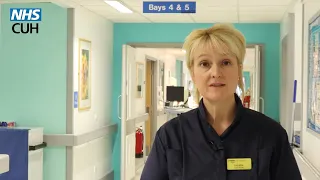 Industrial Action at Cambridge University Hospitals - Message from Chief Nurse Lorraine Szeremeta