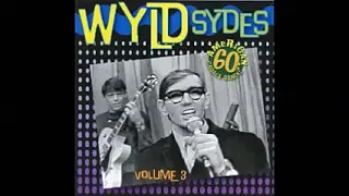 Various ‎– Wyld Sydes Vol 3 : 60's Garage Punk Fuzz Rock Pop Music Bands Sixties Compilation ALBUM