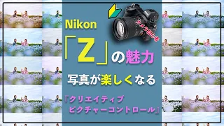 【Z6の魅力】誰でも簡単に写真をおしゃれに撮ることが出来る機能が「Z」にはある。