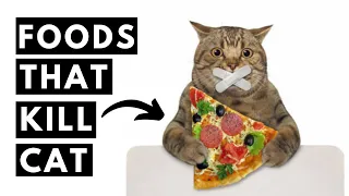 17 Foods Toxic For Cats - Your Cat Should Never Eat