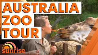 Bindi Irwin's guided virtual tour of Australia Zoo | Sunrise