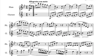 K. Kummer - Duetto n.1 per flauto e clarinetto (Allegretto con moto)