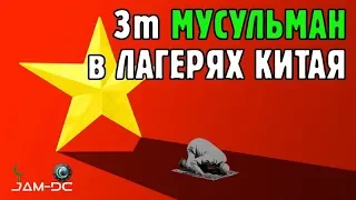 3m уйгурских мусульман в лагерях Китая