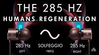 Humans Regeneration -  285hz Brain Hemisphere Synchronization