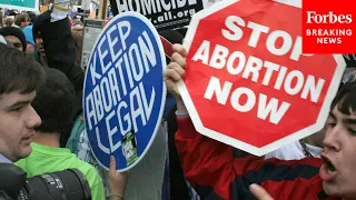 GOP Lawmaker Points Out Supreme Court Did Not Ban Abortions