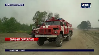 Три лесника погибли при тушении пожара в Абайской области, еще 11 числятся пропавшими