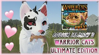 |LEO - MOON| 🐁КАК ПОЙМАТЬ ДИЧЬ в Warrior Cats Ultimate Edition - Roblox🐁