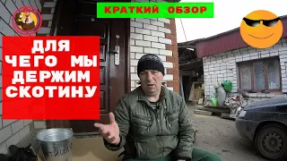 Для чего мы держим скотину, краткий обзор хоз двора