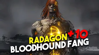 Radagon Hitless [+10 Bloodhound Fang]