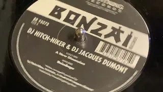 DJ HITCH-HIKER & DJ JACQUES DUMONT - RAINDROPS