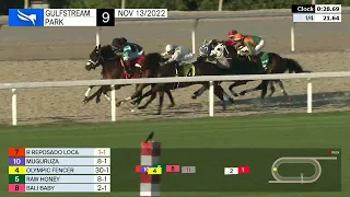 Gulfstream Park Carrera 9 - 13 de Noviembre 2022