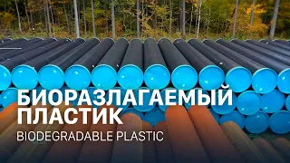 Биоразлагаемый пластик | Biodegradable plastic (ENG SUB)