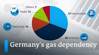 How Germany aims for independence from Russian energy | DW News