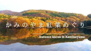 かみのやま紅葉めぐり ―Autumn leaves in Kaminoyama　#東北観光 ＃紅葉狩り #温泉地めぐり